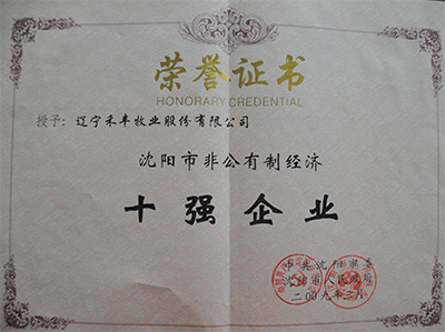 2009.3沈阳市非公有制经济“十强企业” 2009.3沈阳市非公有制经济“十强企业”