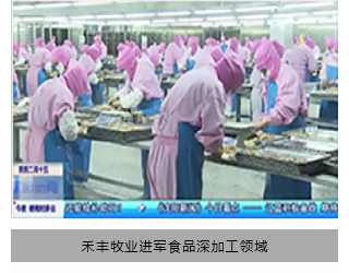 禾丰牧业进军食品深加工领域